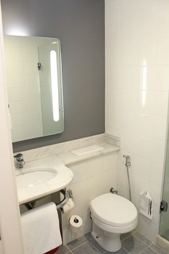 Ibis Paulista